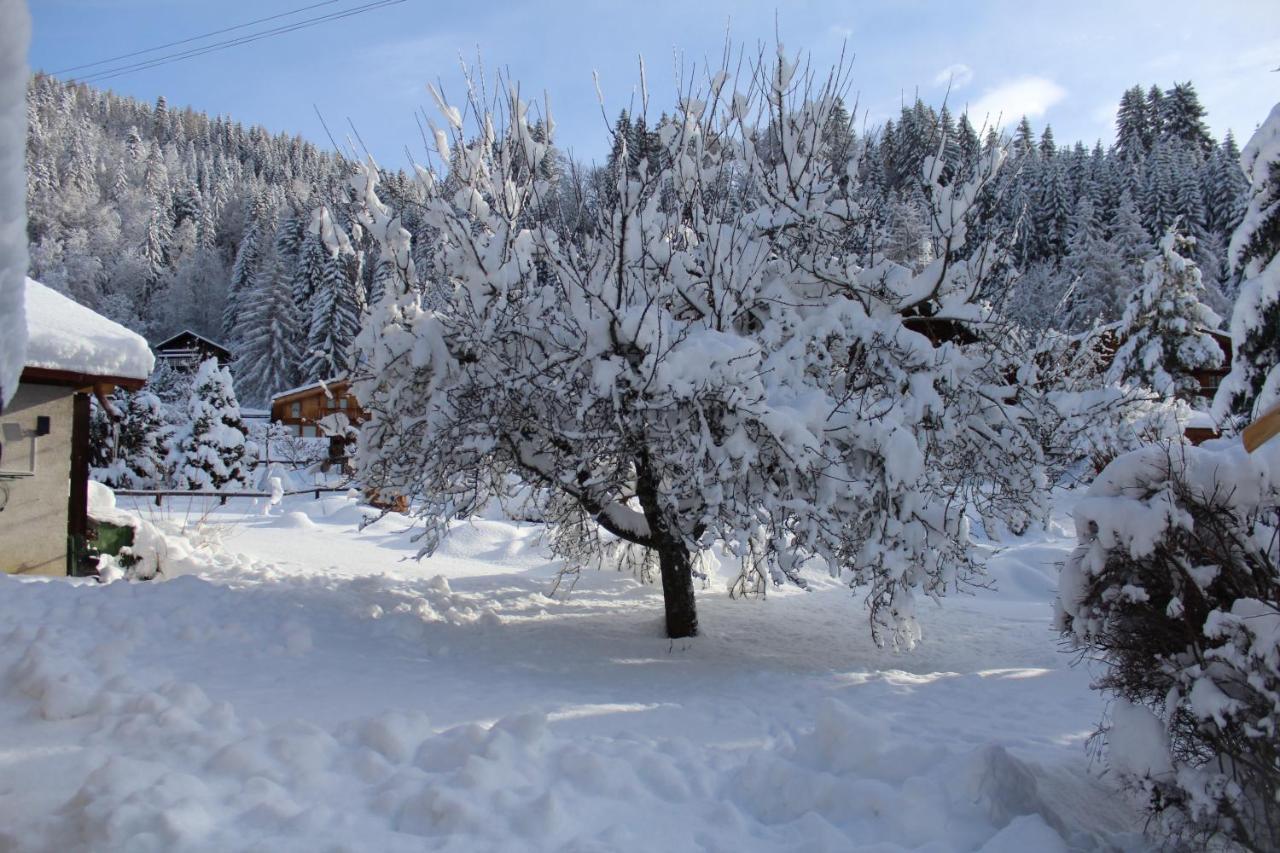 Chalet Le Slalom Arveyes المظهر الخارجي الصورة
